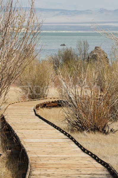 Stock photo: Boardwalk Trail