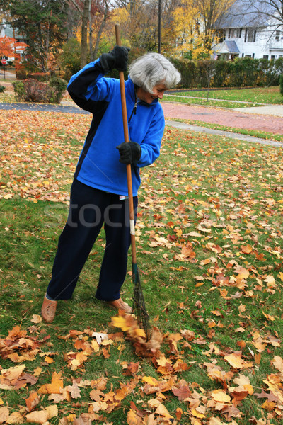 Senior mulher ativo folhas gramado Foto stock © pancaketom