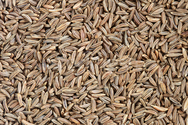 caraway seeds Stock photo © pancaketom