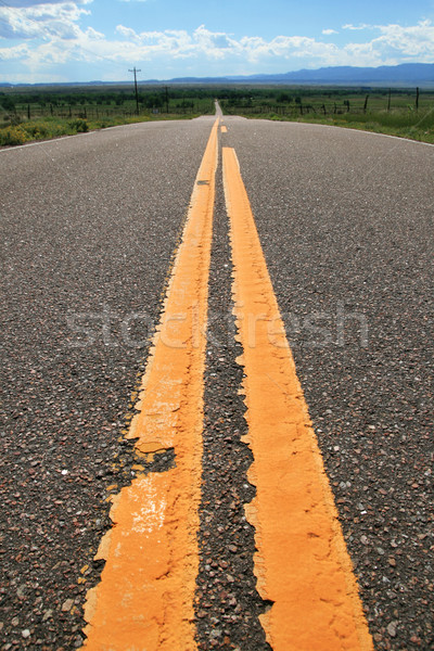 yellow road lines Stock photo © pancaketom