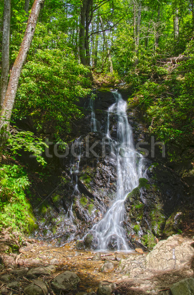 Stock photo:  Cataract Falls Waterfall