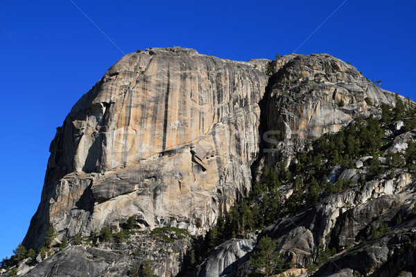 Yosemite cliffs Stock photo © pancaketom