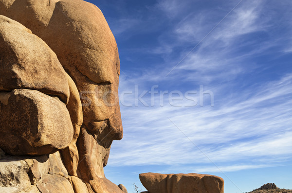 Rock Face Stock photo © pancaketom