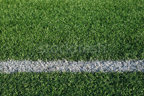 boundary line Stock photo © pancaketom