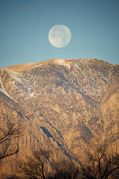 Creasta Lună dimineaţă Imagine de stoc © pancaketom