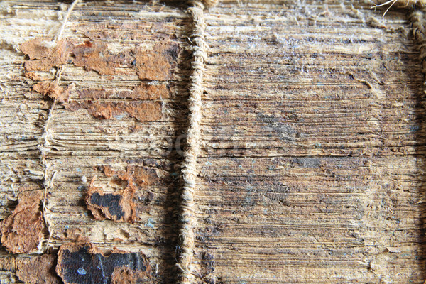 Gerincoszlop öreg sérült könyv textúra mező Stock fotó © pancaketom