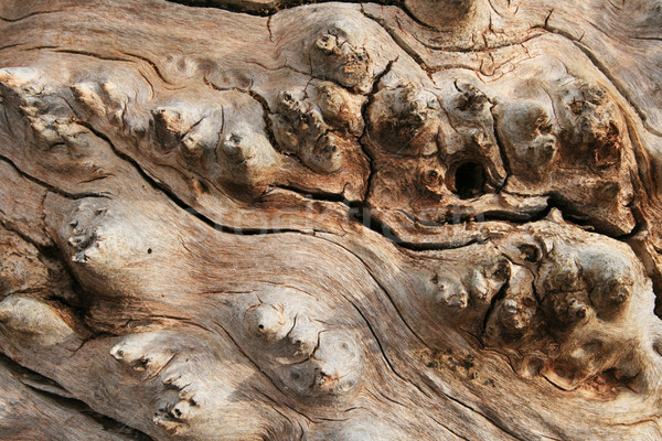 Venatura del legno screpolato texture legno grano turbinio Foto d'archivio © pancaketom