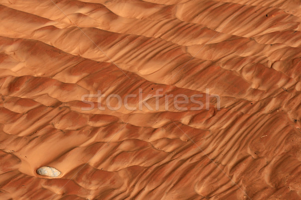 sand ripples Stock photo © pancaketom