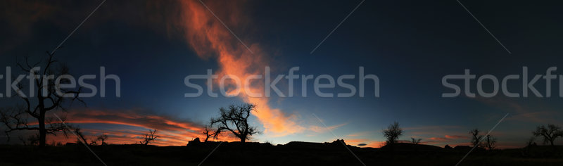 sunrise panorama Stock photo © pancaketom