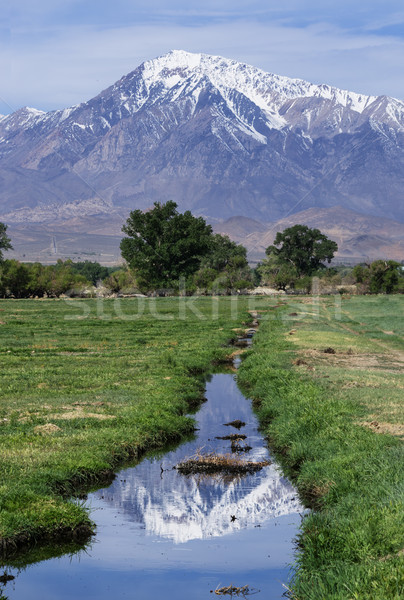 Mount Tom Reflection Stock photo © pancaketom