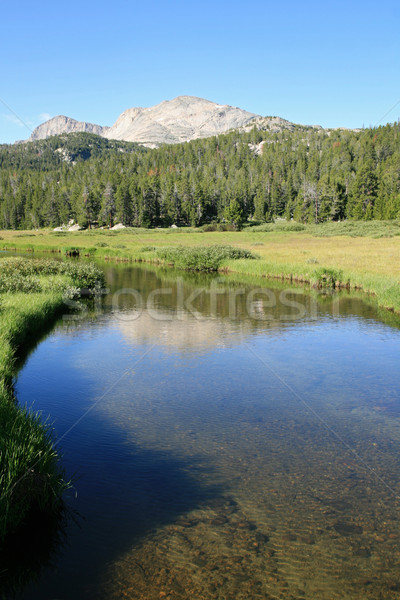 wilderness stream Stock photo © pancaketom