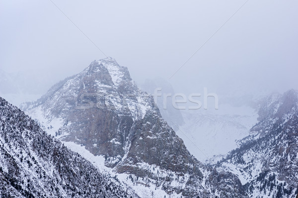 Snowy Mountains Stock photo © pancaketom