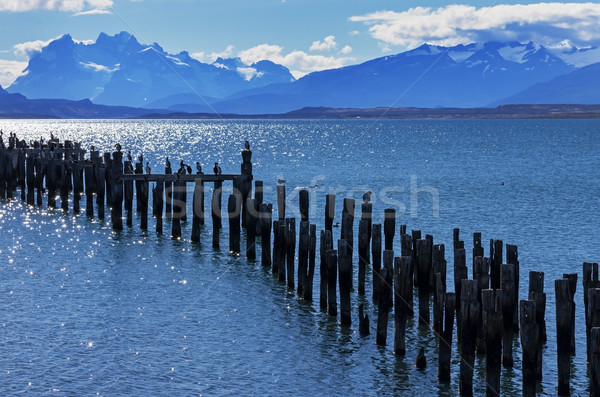 Patagonia Bay and Mountains Stock photo © pancaketom