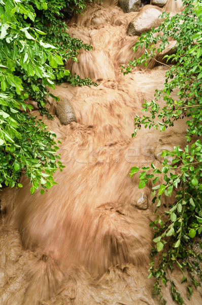 Rushing Muddy Floodwaters Stock photo © pancaketom