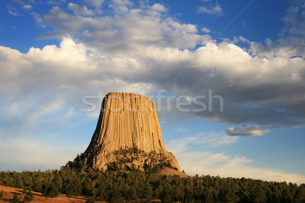 devils tower Stock photo © pancaketom