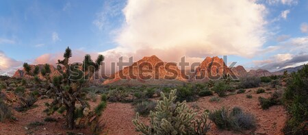 Red Rock Desert Sunrise Stock photo © pancaketom