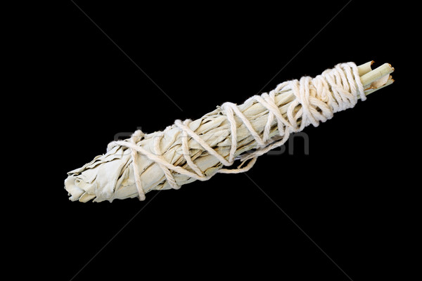 Branco sálvia cerimonial corda preto planta Foto stock © pancaketom