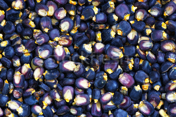 blue corn posole Stock photo © pancaketom