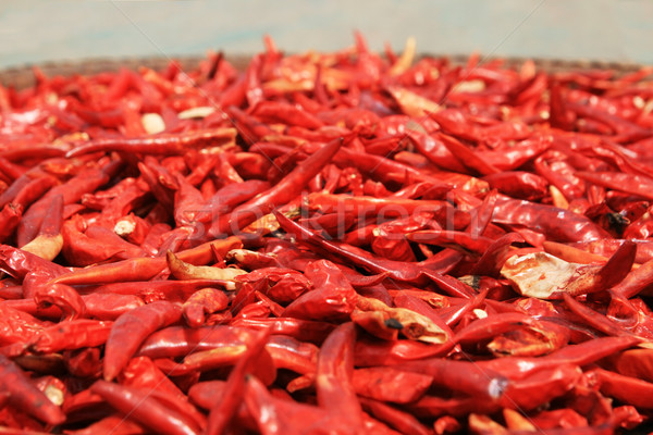 drying red chili peppers Stock photo © pancaketom