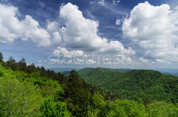 Great Smoky Mountains Stock photo © pancaketom