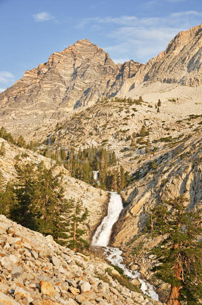 Foto stock: Pino · arroyo · cascada · menta · montana · Nevada