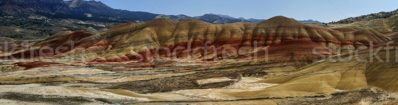 Geschilderd heuvels Oregon panorama dag fossiel Stockfoto © pancaketom