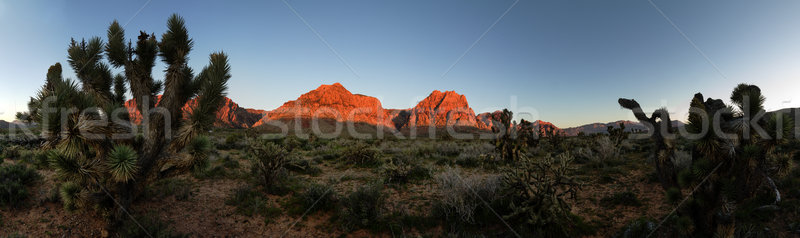 Red Rocks Morning Panorama Stock photo © pancaketom