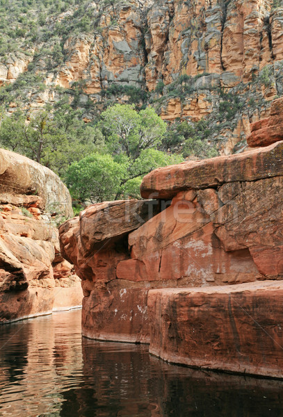Wet Beaver Creek swimming hole Stock photo © pancaketom