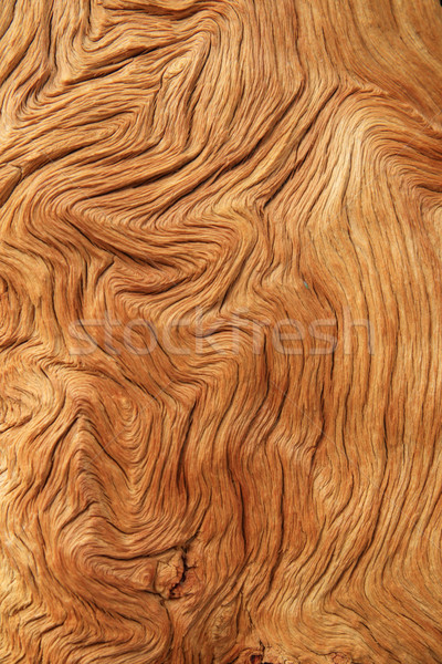 contorted woodgrain Stock photo © pancaketom