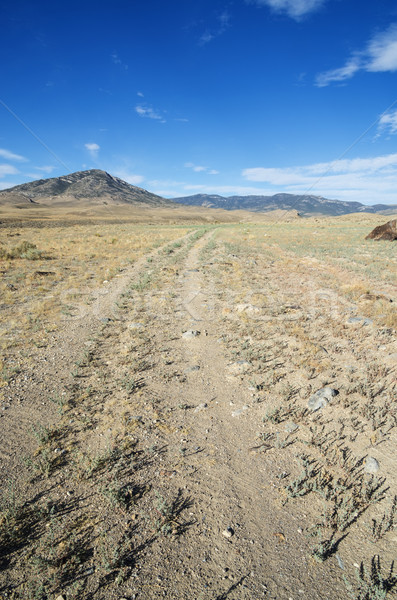 Camino de grava vertical imagen distante Nevada montanas Foto stock © pancaketom