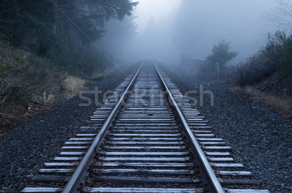 Foggy Railroad Tracks Stock photo © pancaketom