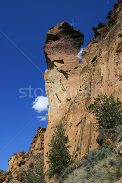 monkey face rock spire Stock photo © pancaketom