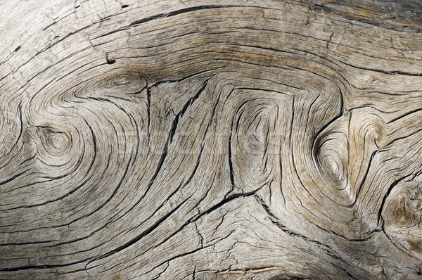 Weathered Wood Swirl Stock photo © pancaketom