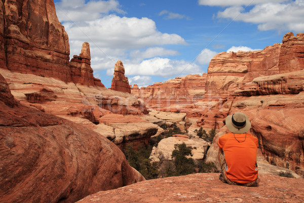 man in canyon Stock photo © pancaketom