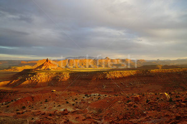 desert landscape Stock photo © pancaketom