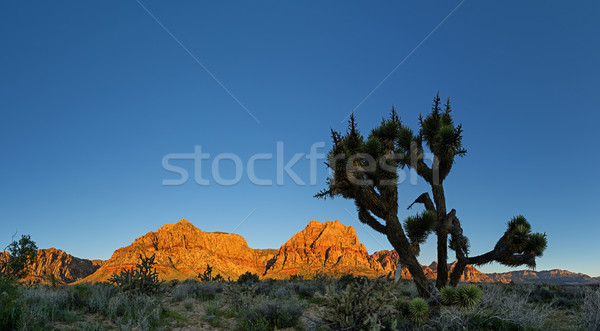 Red Rocks Morning Stock photo © pancaketom