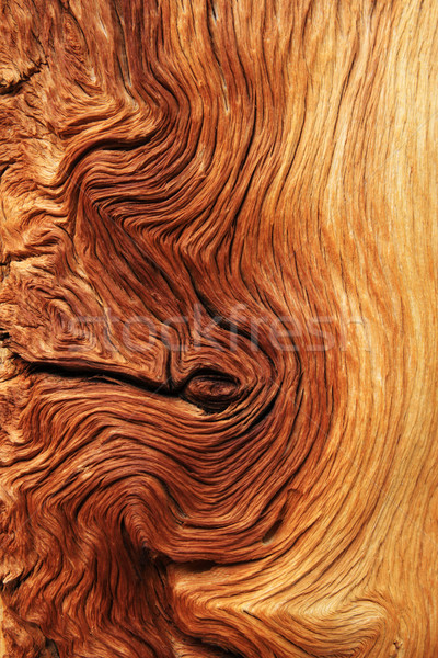 contorted wood grain Stock photo © pancaketom