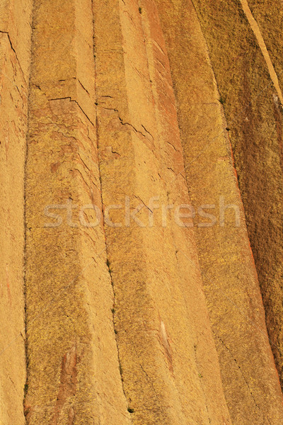 devils tower columns Stock photo © pancaketom