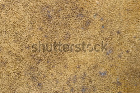 leather background Stock photo © pancaketom