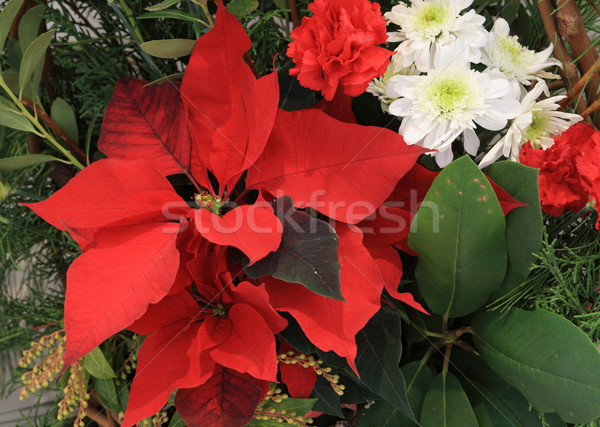 Christmas flower arrangement Stock photo © pancaketom