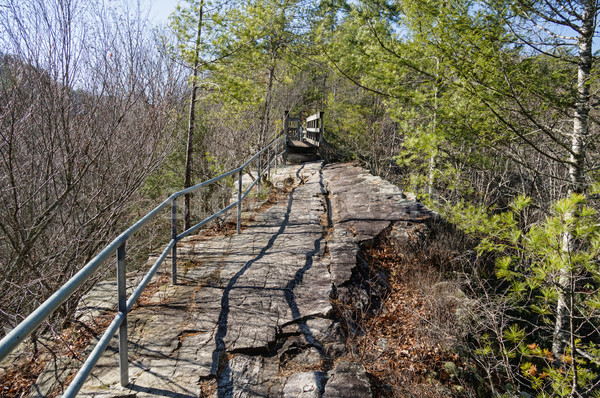 Ruggegraat parcours steil smal wervelkolom Stockfoto © pancaketom