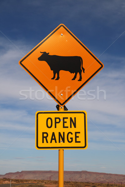 Nyitva terjedelem felirat narancs fekete tehén Stock fotó © pancaketom