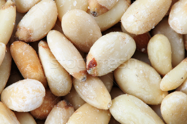 pine nuts macro Stock photo © pancaketom