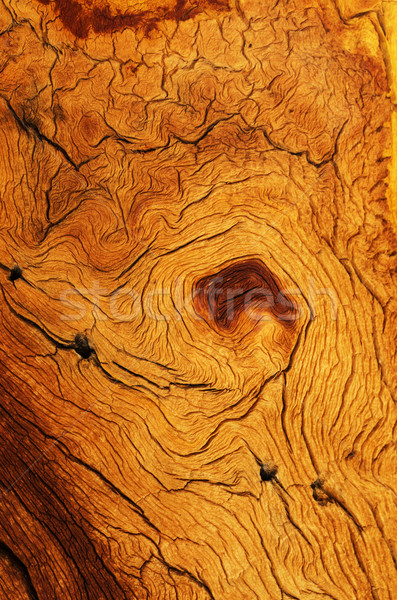 Weathered Wood Grain Stock photo © pancaketom