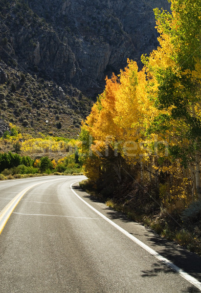 Fall Mountain Road Stock photo © pancaketom