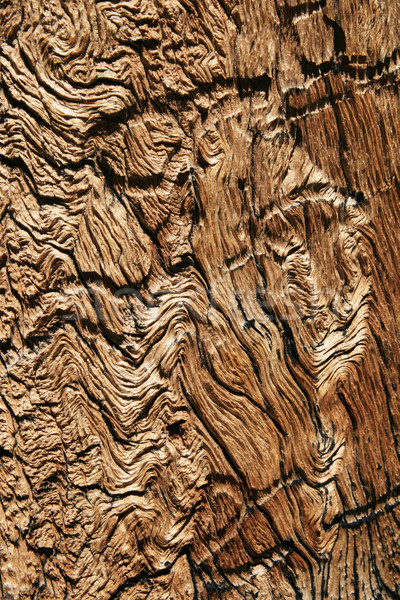 Venatura del legno vecchio intemperie pino sfondo nero Foto d'archivio © pancaketom