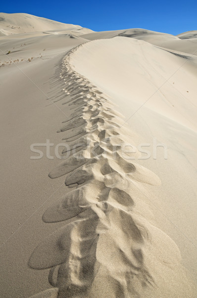 Footprints On Sand Dune Ridge Stock photo © pancaketom