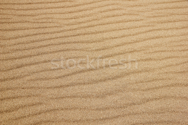 Rippled Sand Surface Stock photo © pancaketom