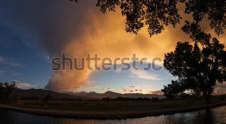 Canal Sunset Stock photo © pancaketom