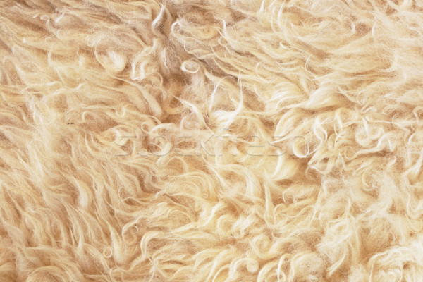 Szürke birka textúra háttér gyapjú mintázott Stock fotó © pancaketom